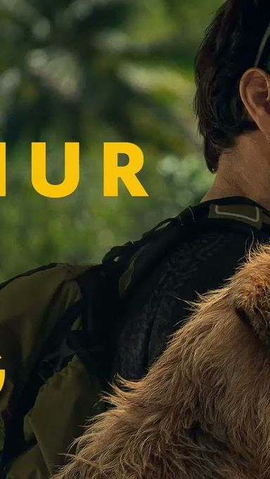 Filmbarátok Expressz: Artúr, a király